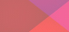 rippen programme